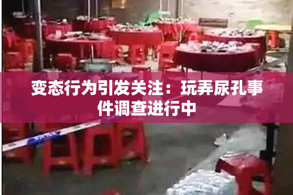 变态行为引发关注：玩弄尿孔事件调查进行中