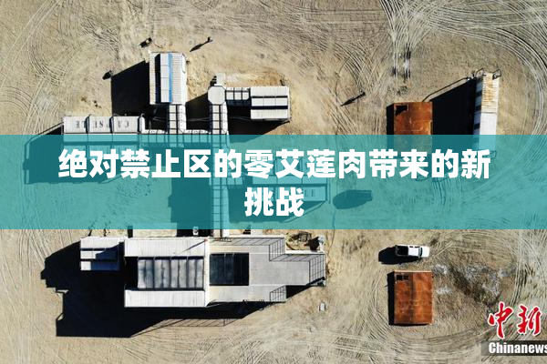 绝对禁止区的零艾莲肉带来的新挑战