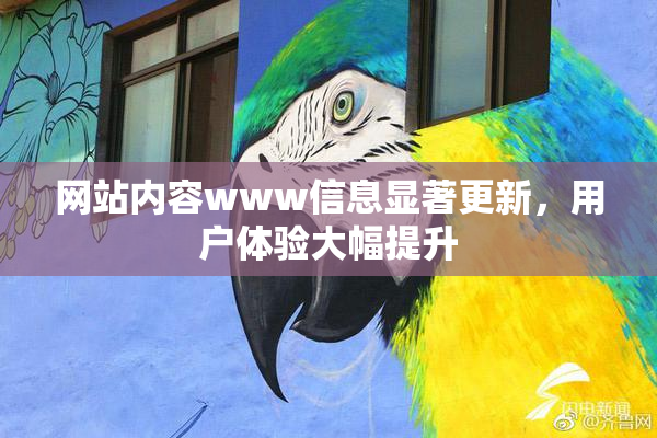 网站内容www信息显著更新，用户体验大幅提升