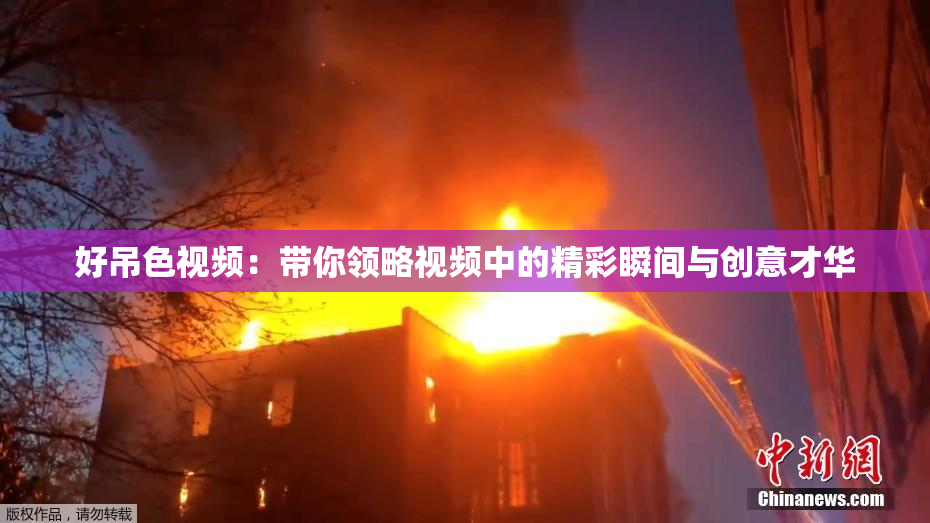 好吊色视频：带你领略视频中的精彩瞬间与创意才华