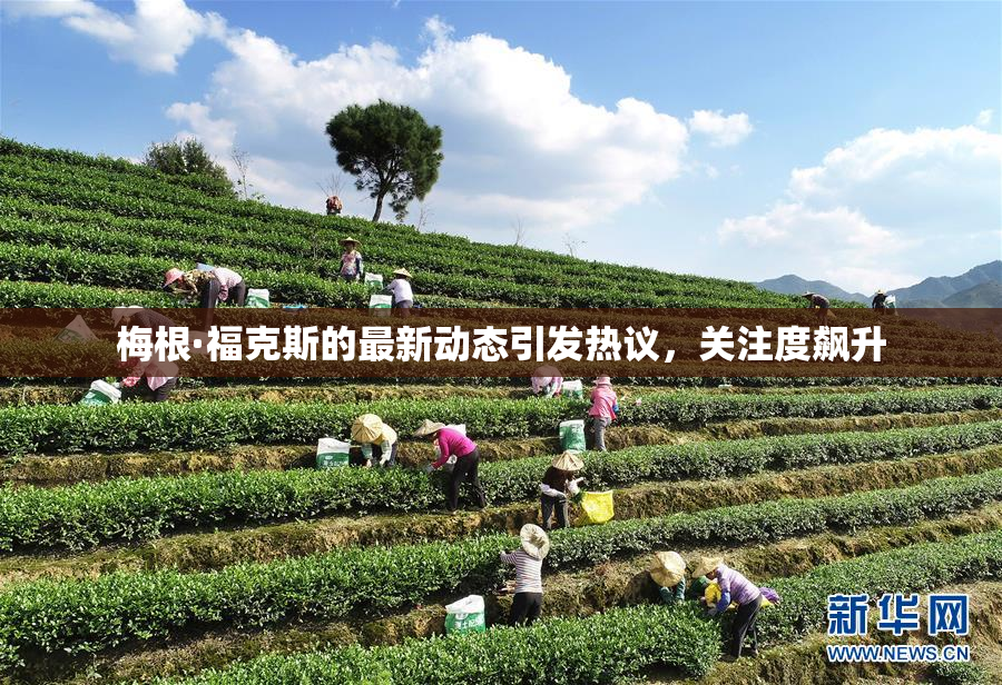 梅根·福克斯的最新动态引发热议，关注度飙升