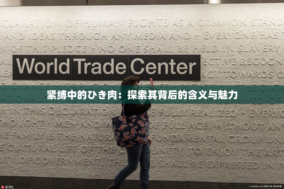 紧缚中的ひき肉：探索其背后的含义与魅力