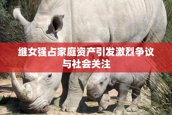 继女强占家庭资产引发激烈争议与社会关注