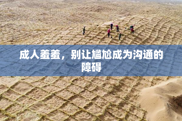 成人羞羞，别让尴尬成为沟通的障碍