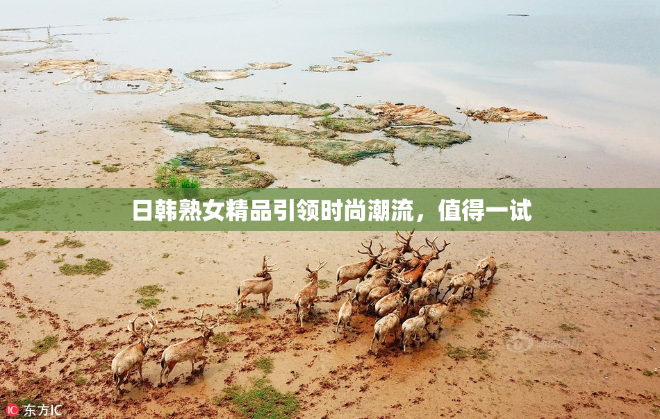 日韩熟女精品引领时尚潮流，值得一试