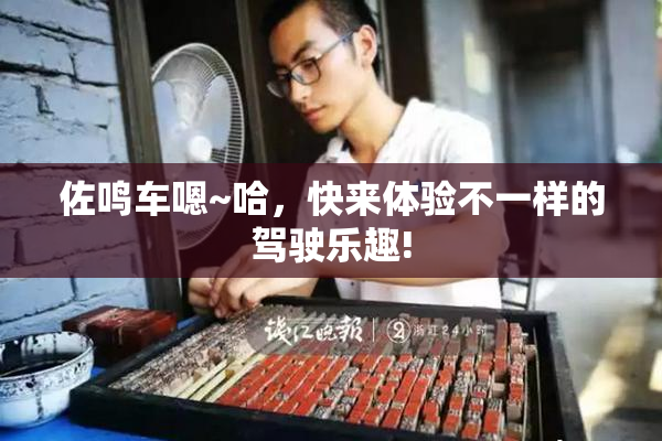 佐鸣车嗯~哈，快来体验不一样的驾驶乐趣!