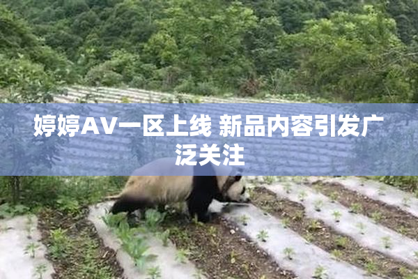 婷婷AV一区上线 新品内容引发广泛关注