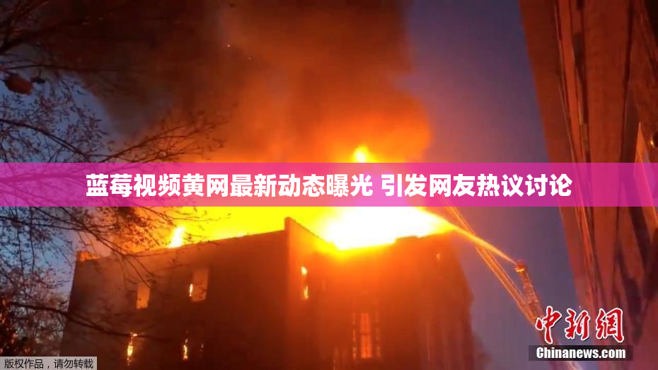 蓝莓视频黄网最新动态曝光 引发网友热议讨论