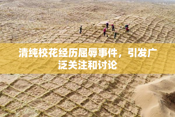 清纯校花经历屈辱事件，引发广泛关注和讨论