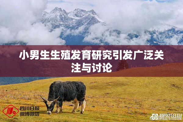 小男生生殖发育研究引发广泛关注与讨论