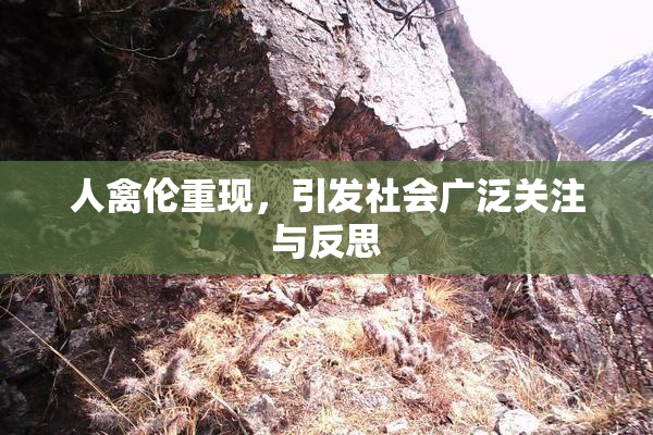 人禽伦重现，引发社会广泛关注与反思