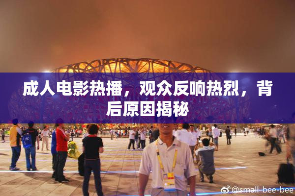成人电影热播，观众反响热烈，背后原因揭秘