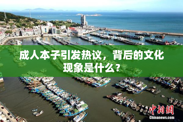 成人本子引发热议，背后的文化现象是什么？