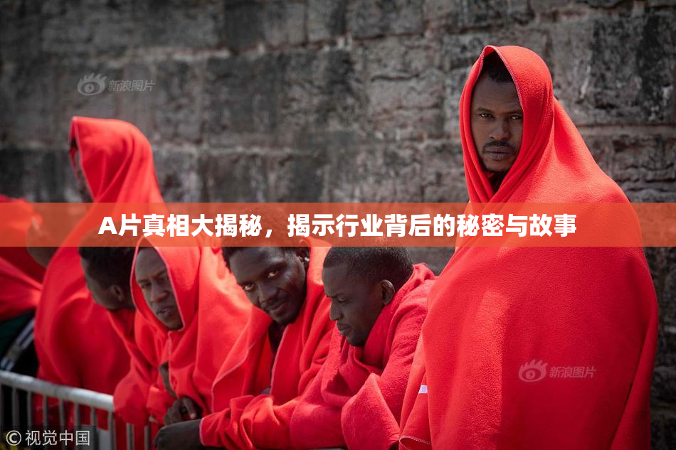 A片真相大揭秘，揭示行业背后的秘密与故事