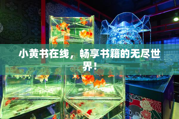 小黄书在线，畅享书籍的无尽世界！