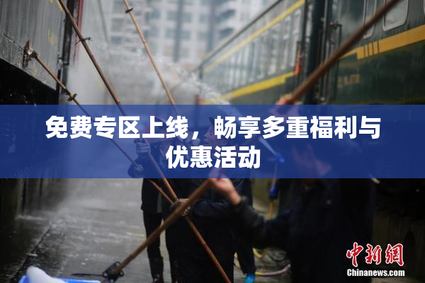 免费专区上线，畅享多重福利与优惠活动