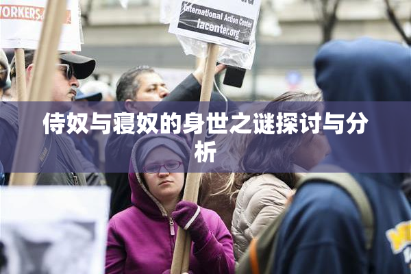 侍奴与寝奴的身世之谜探讨与分析