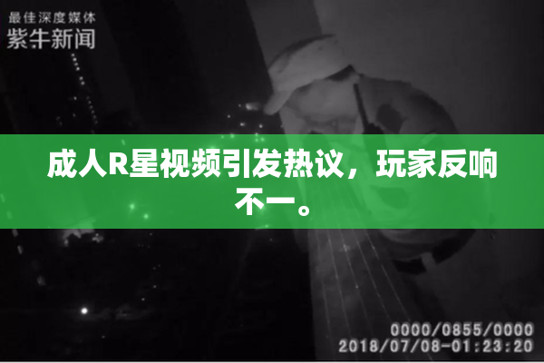 成人R星视频引发热议，玩家反响不一。