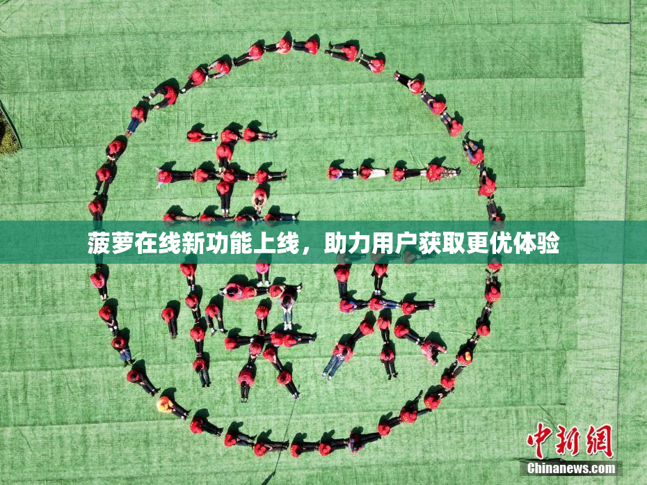菠萝在线新功能上线，助力用户获取更优体验