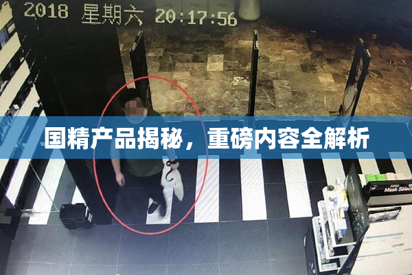 国精产品揭秘，重磅内容全解析