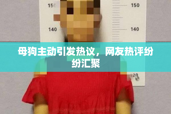 母狗主动引发热议，网友热评纷纷汇聚