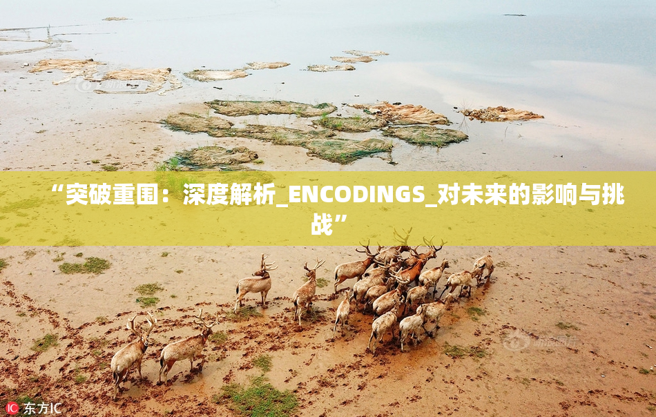 “突破重围：深度解析_ENCODINGS_对未来的影响与挑战”