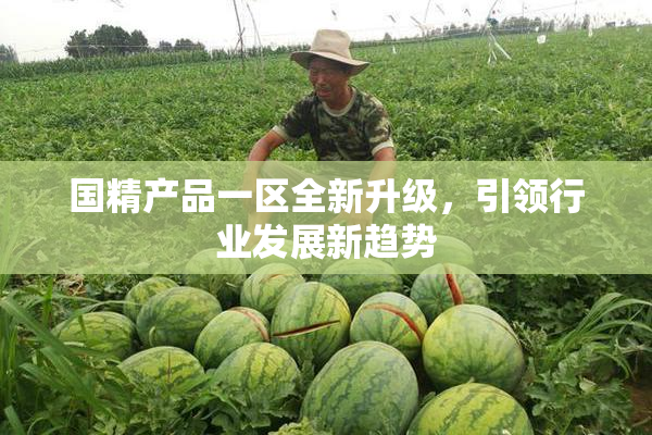 国精产品一区全新升级，引领行业发展新趋势