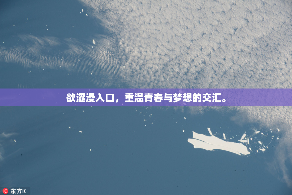 欲涩漫入口，重温青春与梦想的交汇。