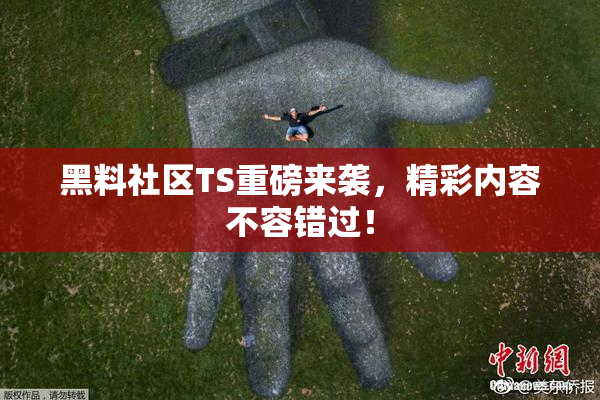 黑料社区TS重磅来袭，精彩内容不容错过！
