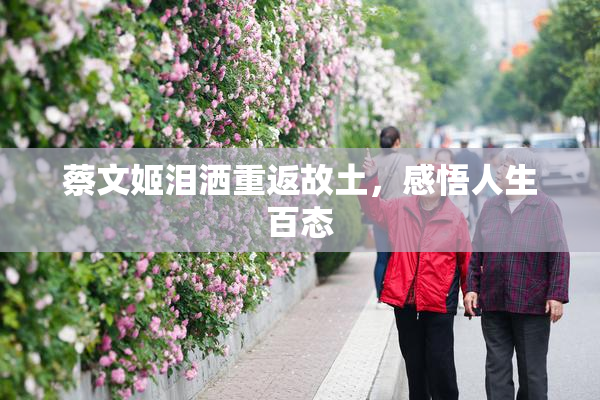 蔡文姬泪洒重返故土，感悟人生百态