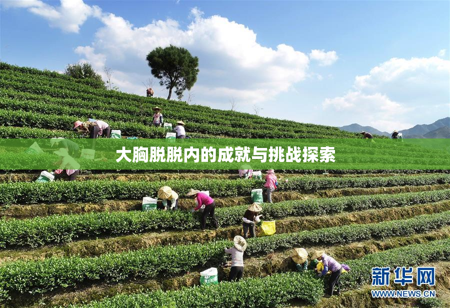 大胸脱脱内的成就与挑战探索