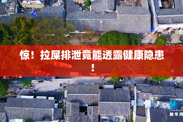 惊！拉屎排泄竟能透露健康隐患！