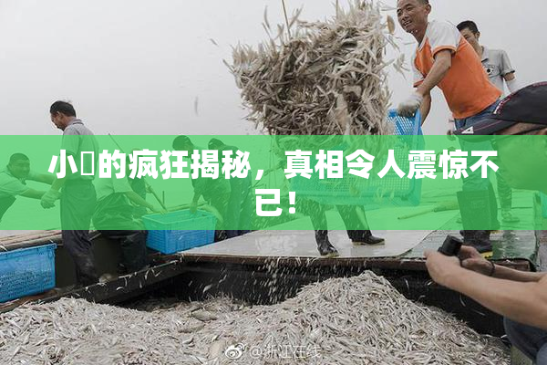 小泬的疯狂揭秘，真相令人震惊不已！