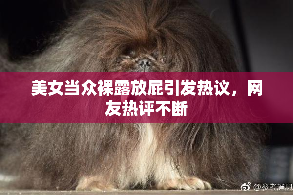 美女当众裸露放屁引发热议，网友热评不断