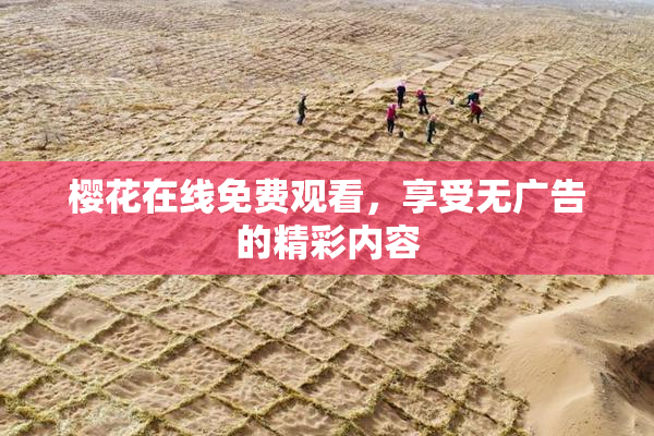 樱花在线免费观看，享受无广告的精彩内容