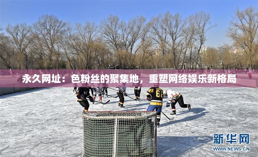 永久网址：色粉丝的聚集地，重塑网络娱乐新格局