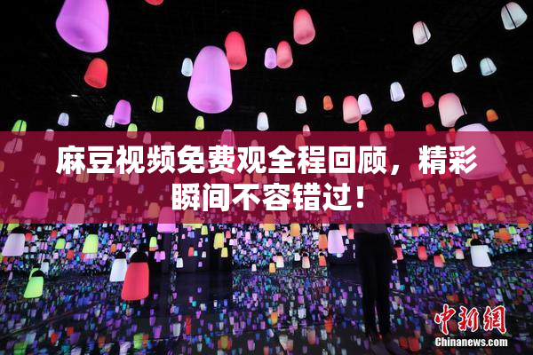麻豆视频免费观全程回顾，精彩瞬间不容错过！