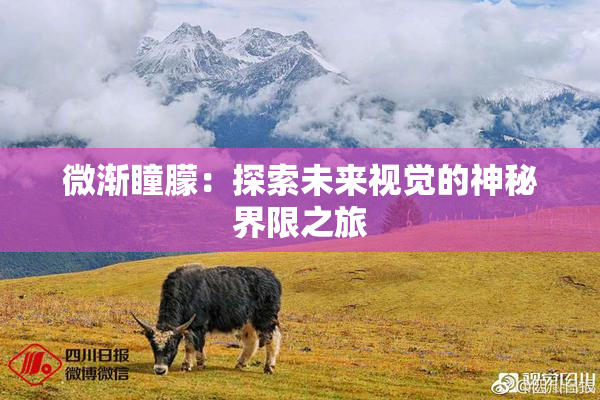 微渐瞳朦：探索未来视觉的神秘界限之旅