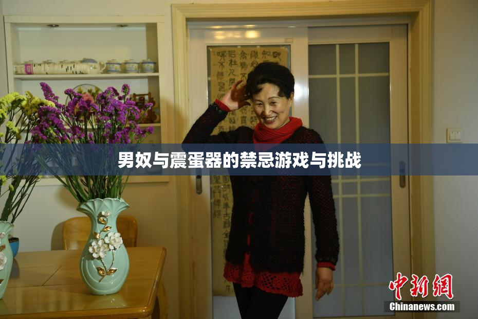 男奴与震蛋器的禁忌游戏与挑战