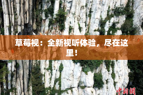 草莓视：全新视听体验，尽在这里！