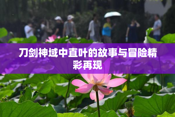 刀剑神域中直叶的故事与冒险精彩再现
