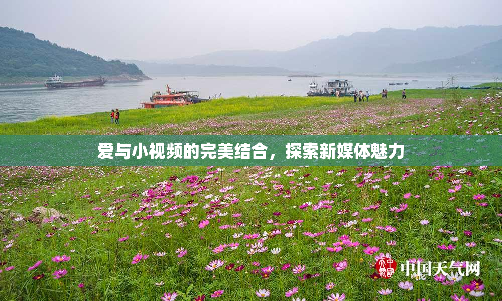 爱与小视频的完美结合，探索新媒体魅力