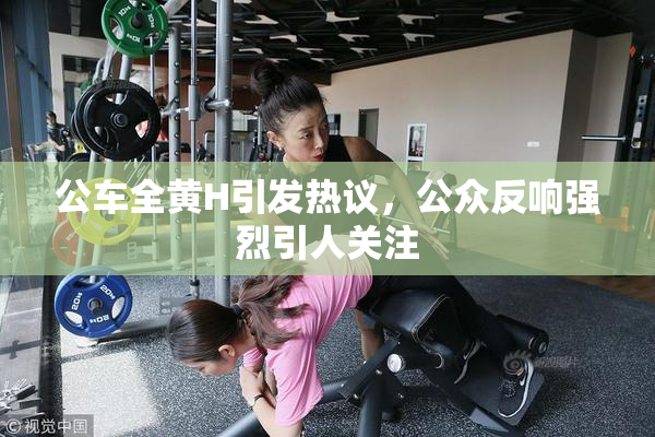 公车全黄H引发热议，公众反响强烈引人关注