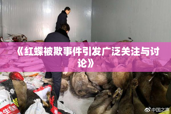 《红蝶被欺事件引发广泛关注与讨论》