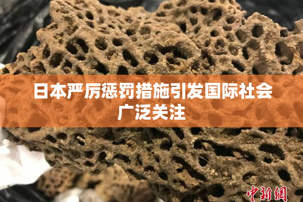 日本严厉惩罚措施引发国际社会广泛关注
