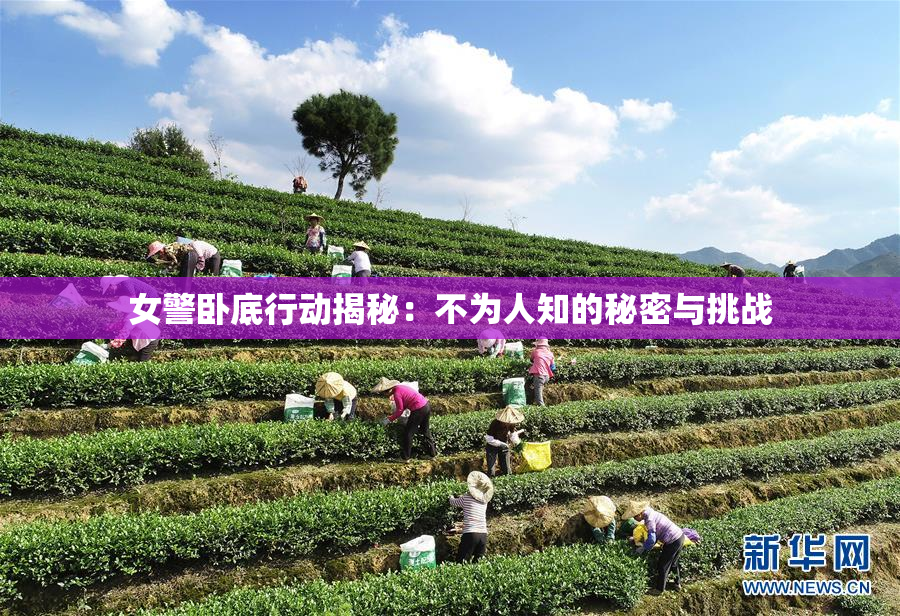 女警卧底行动揭秘：不为人知的秘密与挑战