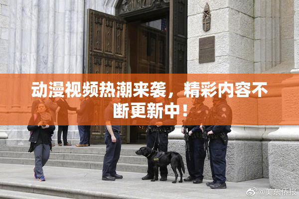 动漫视频热潮来袭，精彩内容不断更新中！