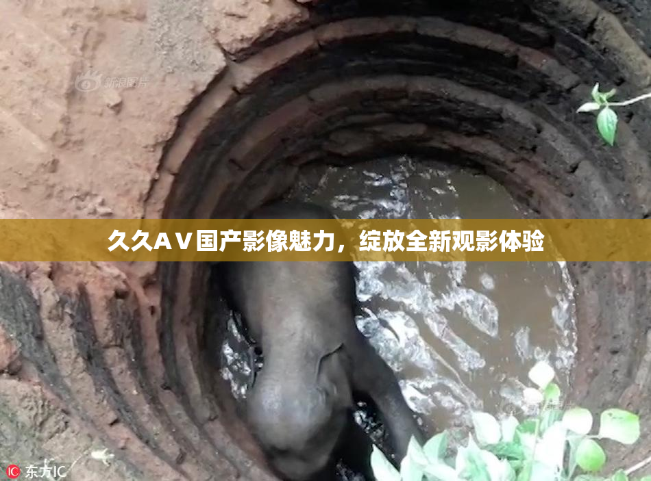 久久AⅤ国产影像魅力，绽放全新观影体验