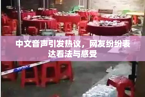 中文音声引发热议，网友纷纷表达看法与感受