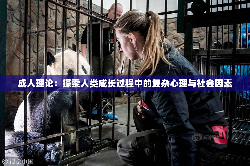 成人理论：探索人类成长过程中的复杂心理与社会因素
